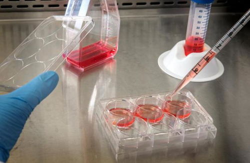 奧浦邁回應監(jiān)管問詢，深入解讀產(chǎn)品競爭格局與技術(shù)地位