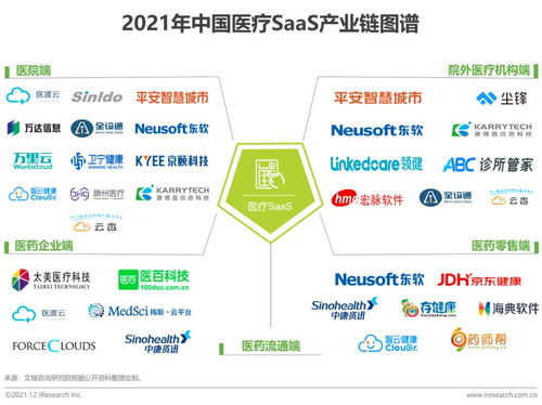 2021年中國醫(yī)療SaaS行業(yè)研究報(bào)告 技術(shù)趨勢與咨詢服務(wù)價(jià)值洞察